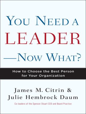 cover image of You Need a Leader—Now What?